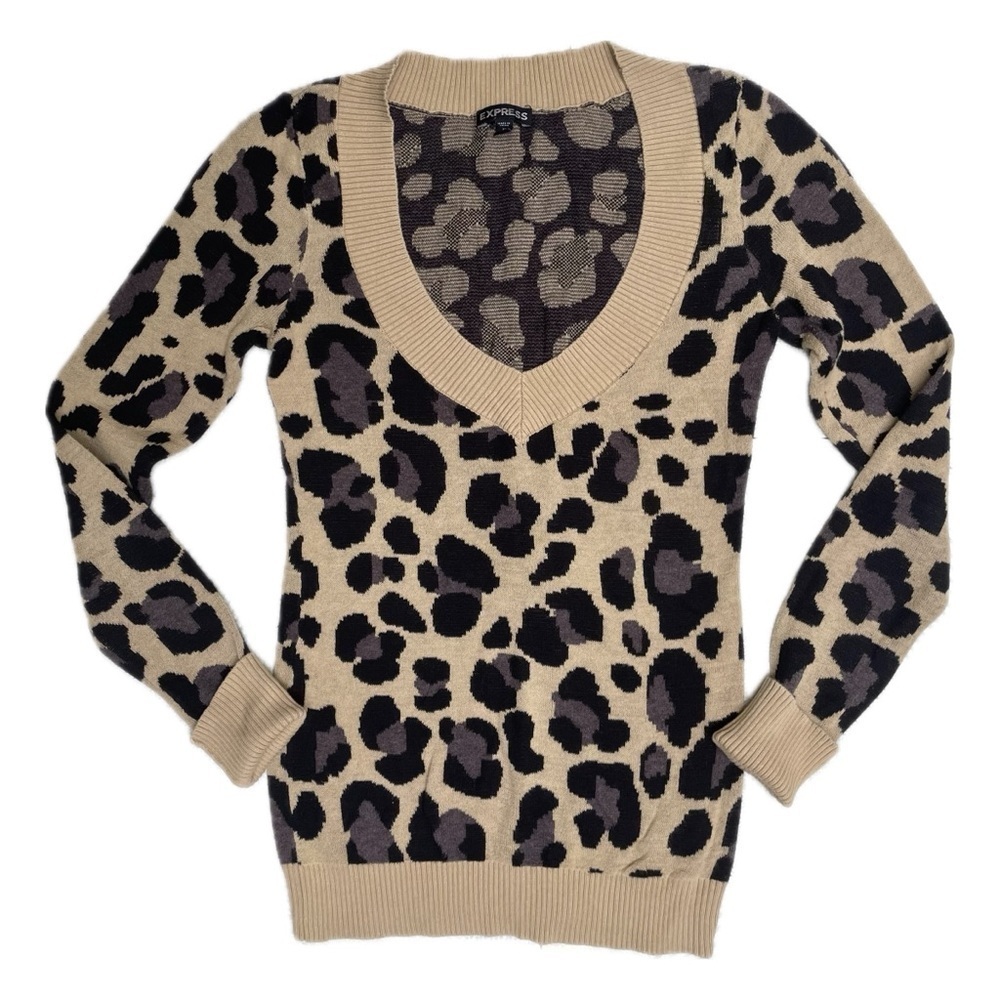 Express Leopard Animal Print V Neck Sweater Size XS